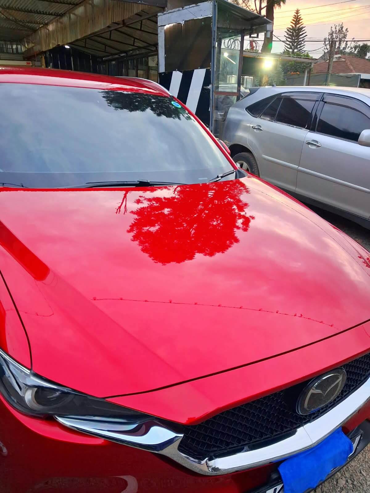 Ceramic coating application service